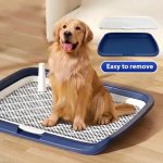 Indoor Dog Potty Tray With Grate - Image 2